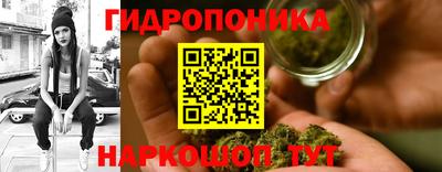 спайс Гагарин