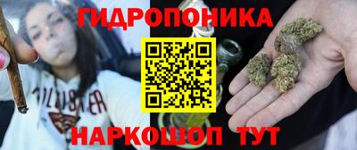 хмурый Гатчина