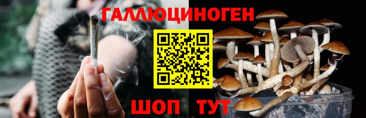 Липецк  Псилоцибиновые грибы мицелий  где можно купить наркотик  Вход с VPN 